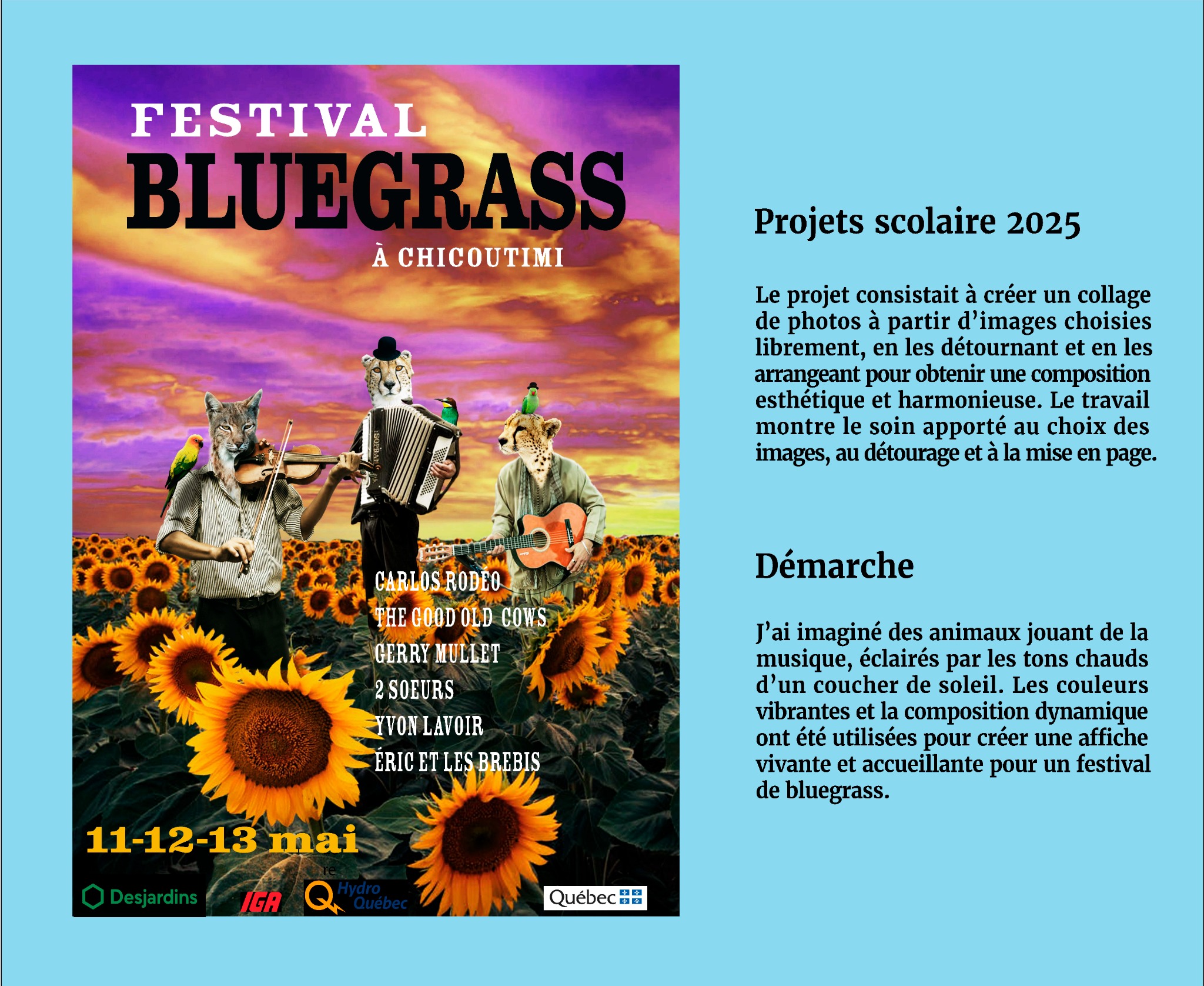Affiche Bluegrass Festival