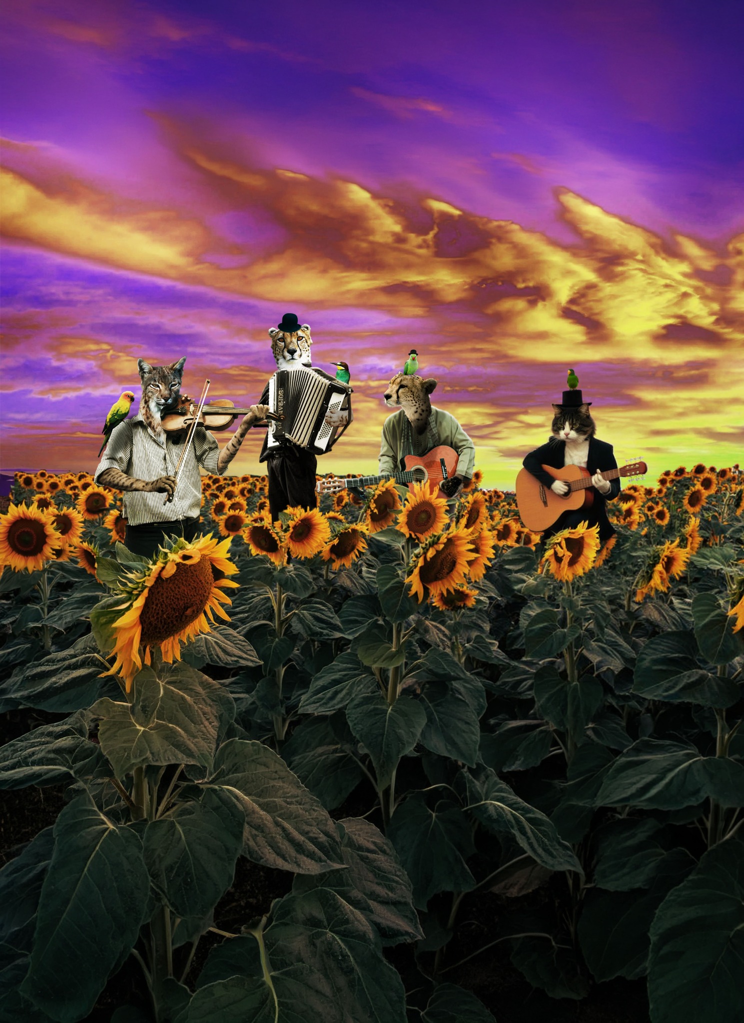 Photomontage Bluegrass original